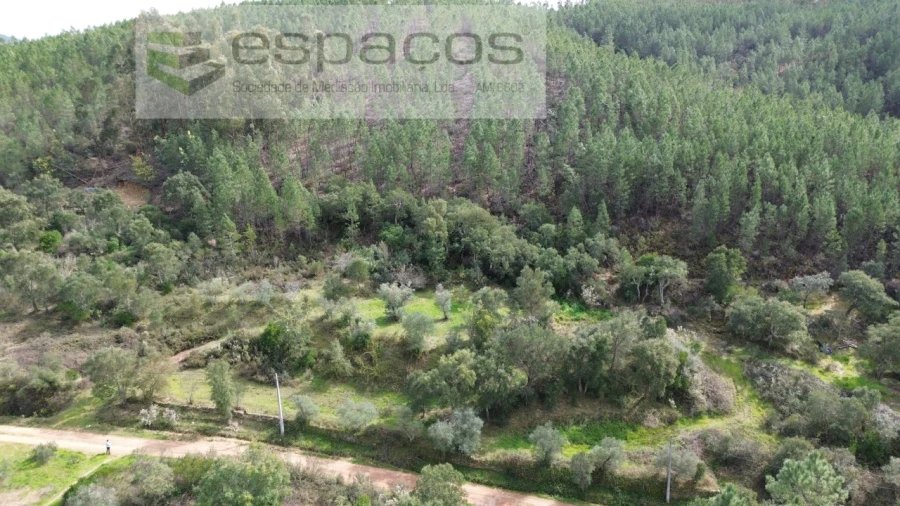 Terreno Agricola ou Rústico para Venda em Sarzedas Foto 2