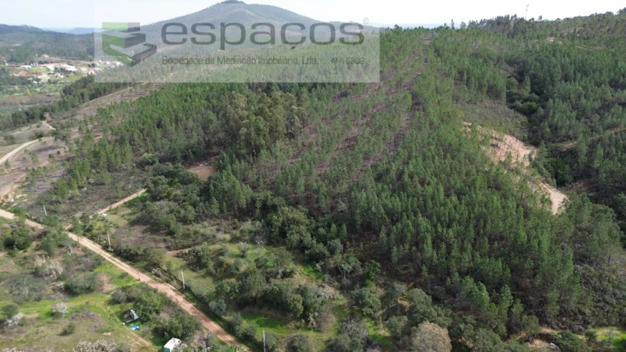 Terreno Agricola ou Rústico para Venda em Sarzedas Foto 3