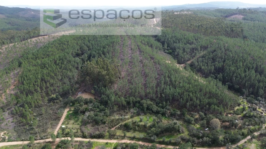 Terreno Agricola ou Rústico para Venda em Sarzedas Foto 5