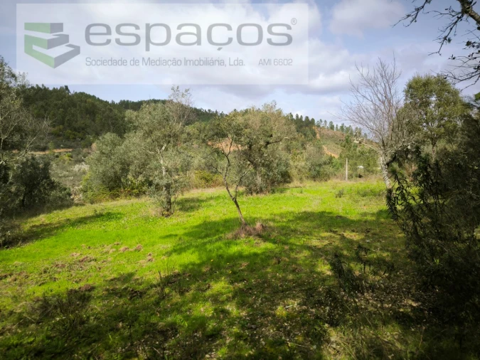 Terreno Agricola ou Rústico para Venda em Sarzedas Foto 8