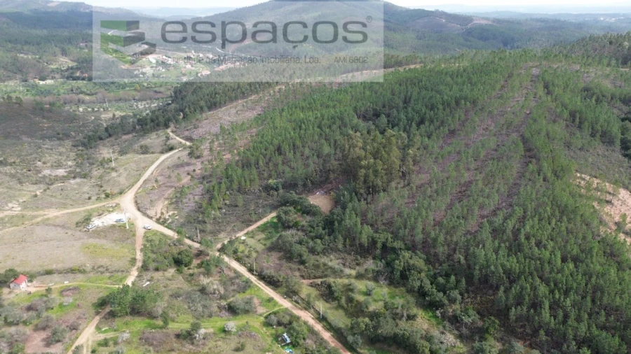 Terreno Agricola ou Rústico para Venda em Sarzedas