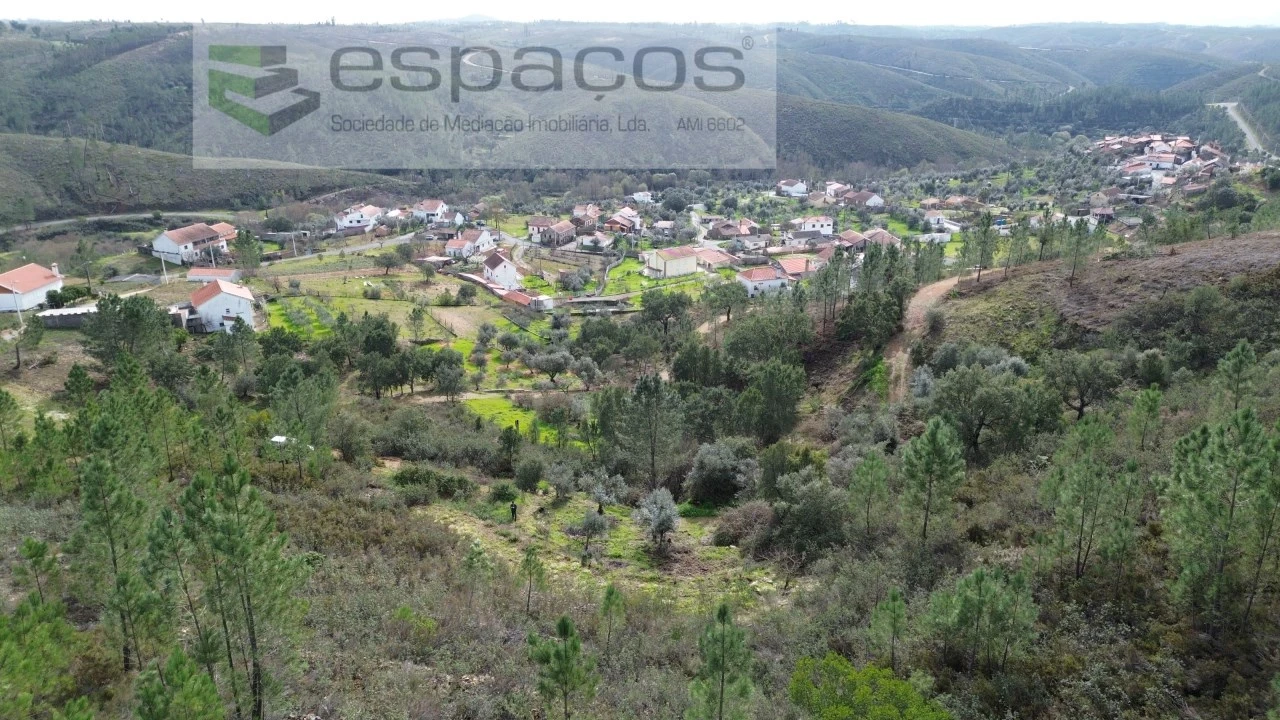 Terreno Agricola ou Rústico para Venda em Sobreira Formosa e Alvito da Beira Foto 1