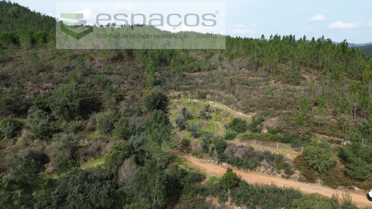 Terreno Agricola ou Rústico para Venda em Sobreira Formosa e Alvito da Beira Foto 4