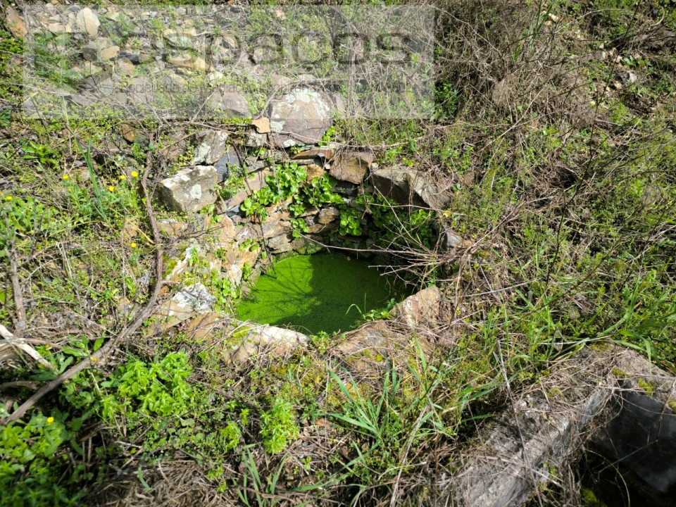 Terreno Agricola ou Rústico para Venda em Sobreira Formosa e Alvito da Beira Foto 7