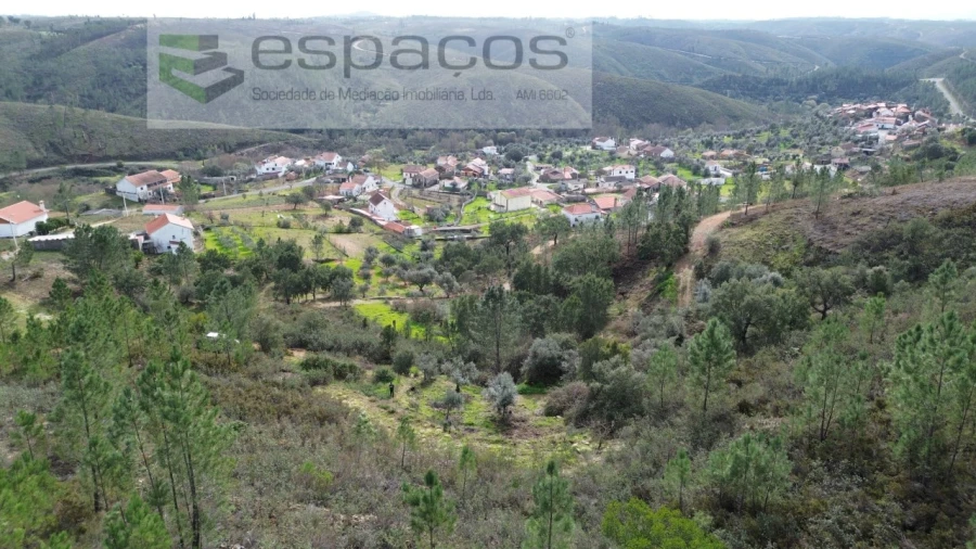 Terreno Agricola ou Rústico para Venda em Sobreira Formosa e Alvito da Beira Foto 1