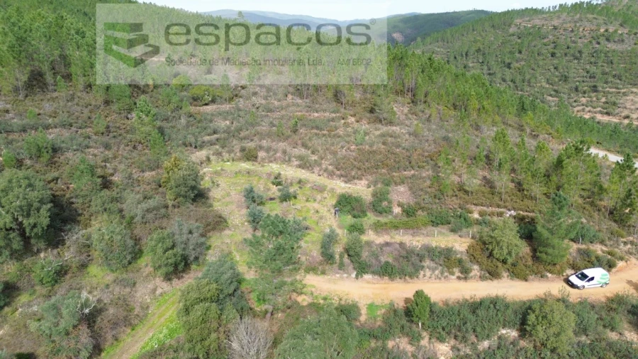 Terreno Agricola ou Rústico para Venda em Sobreira Formosa e Alvito da Beira Foto 3