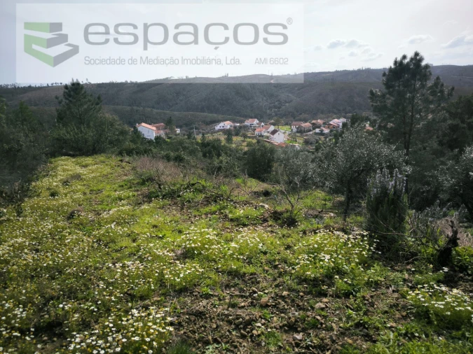 Terreno Agricola ou Rústico para Venda em Sobreira Formosa e Alvito da Beira Foto 5