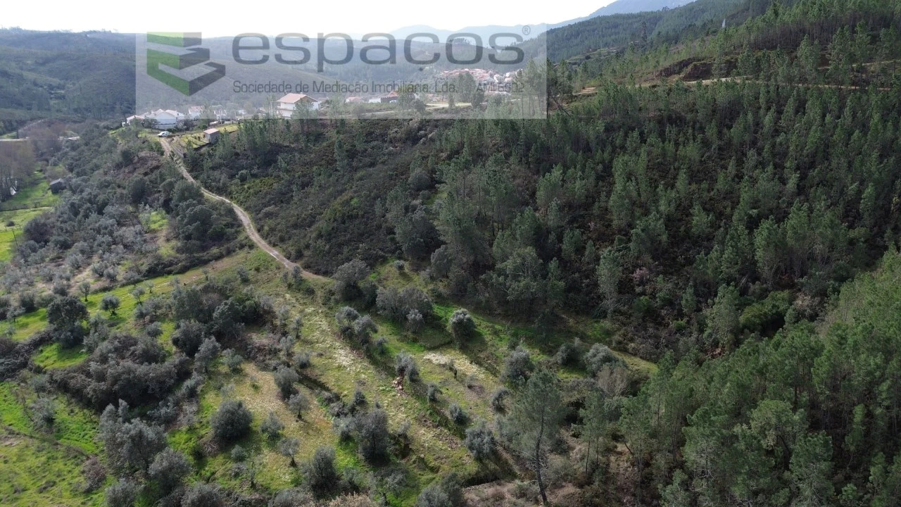 Terreno Agricola ou Rústico para Venda em Sobreira Formosa e Alvito da Beira Foto 3