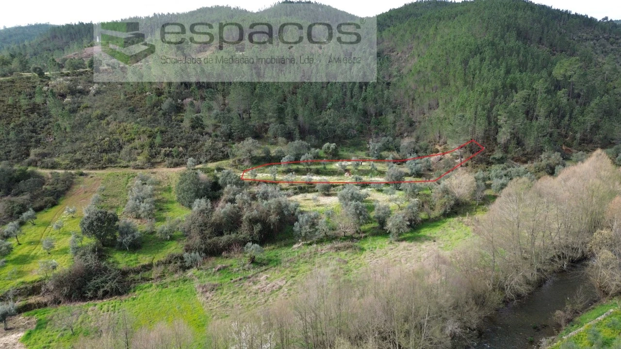 Terreno Agricola ou Rústico para Venda em Sobreira Formosa e Alvito da Beira Foto 1