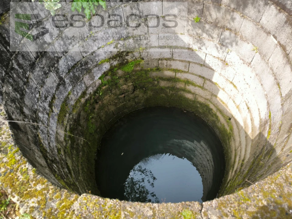 Terreno Agricola ou Rústico para Venda em Sobreira Formosa e Alvito da Beira Foto 4