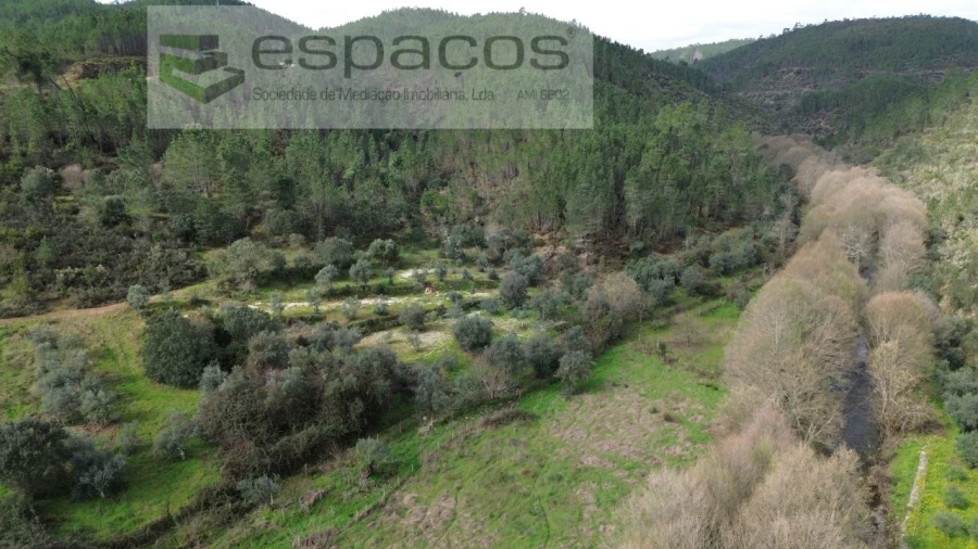 Terreno Agricola ou Rústico para Venda em Sobreira Formosa e Alvito da Beira Foto 2