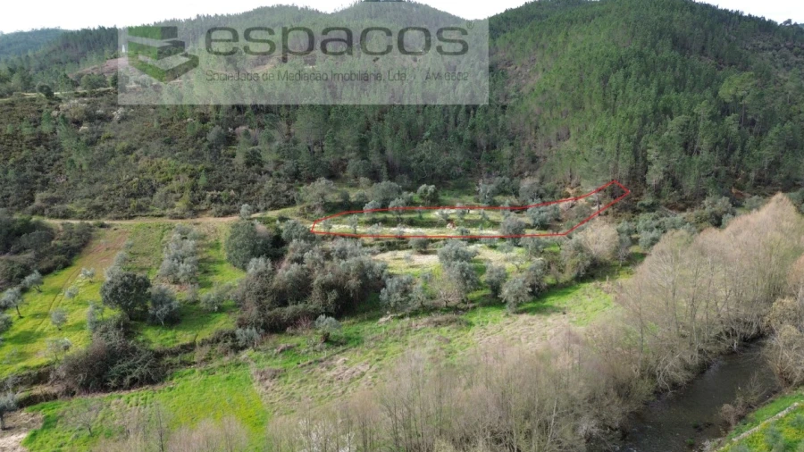 Terreno Agricola ou Rústico para Venda em Sobreira Formosa e Alvito da Beira