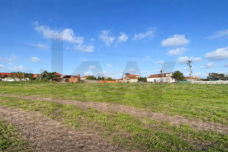 Terreno para Venda em Caranguejeira Foto 15