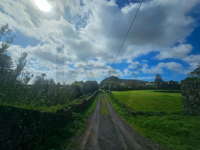 Terreno para Venda em Rosto do Cão (Livramento) Foto 4