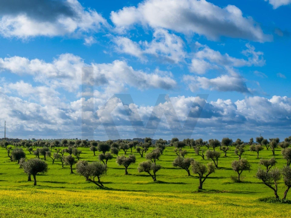 Apartamento T2 para Venda em São Bento do Cortiço e Santo Estêvão Foto 12