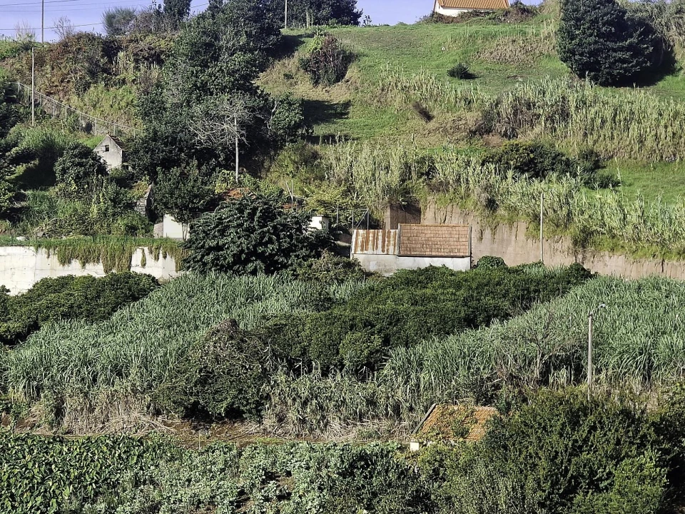 Terreno para Venda em Canhas Foto 2