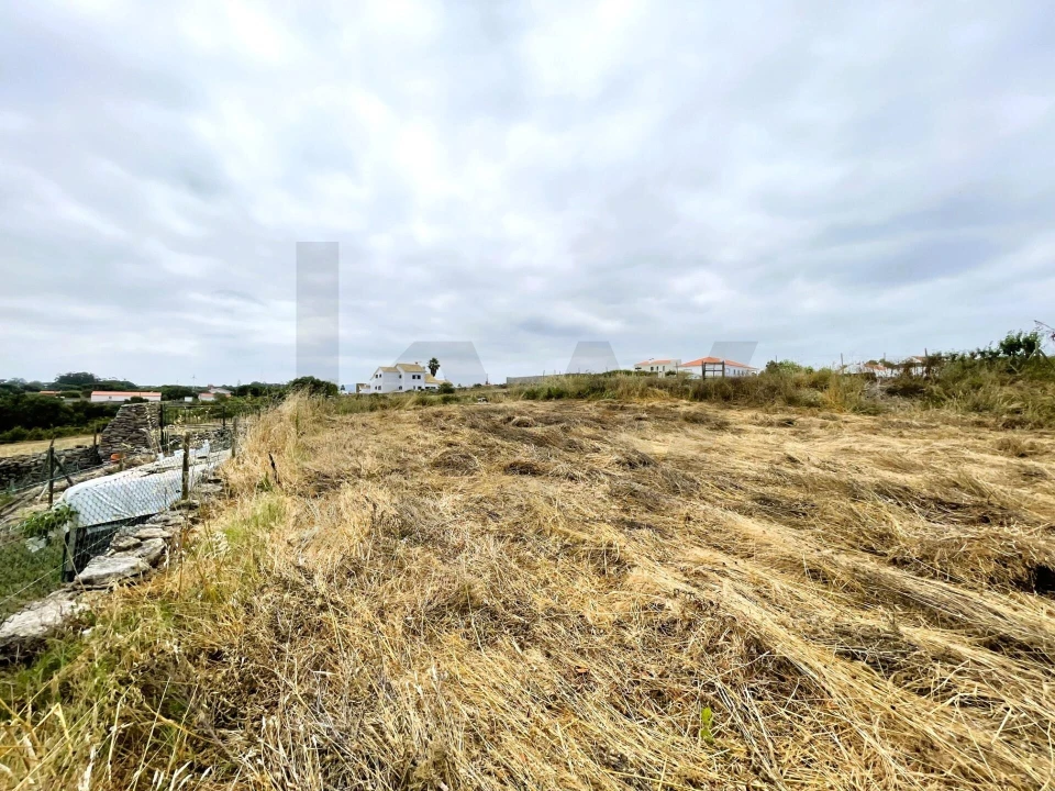 Terreno para Venda em Santa Maria e São Miguel, São Martinho, São Pedro Penaferrim Foto 5