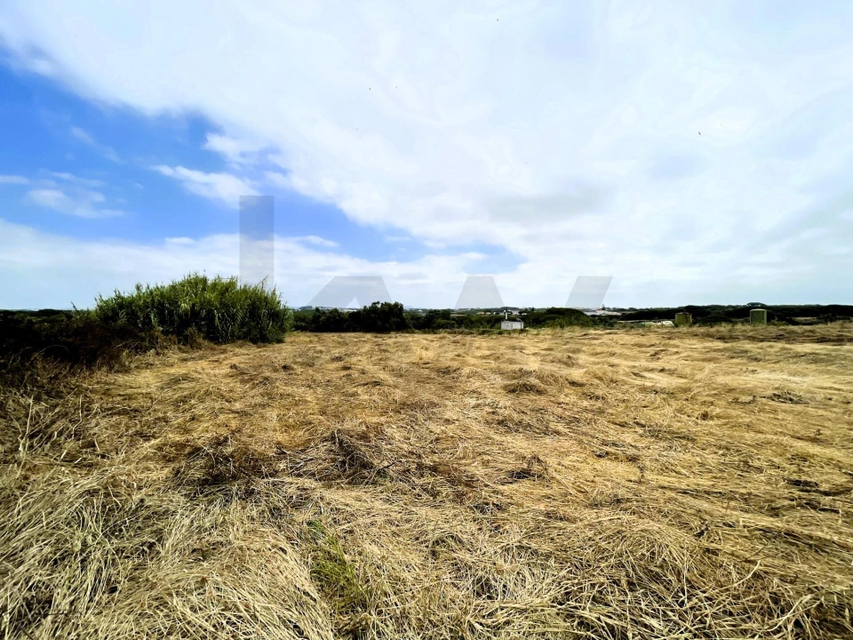 Terreno para Venda em Santa Maria e São Miguel, São Martinho, São Pedro Penaferrim Foto 19