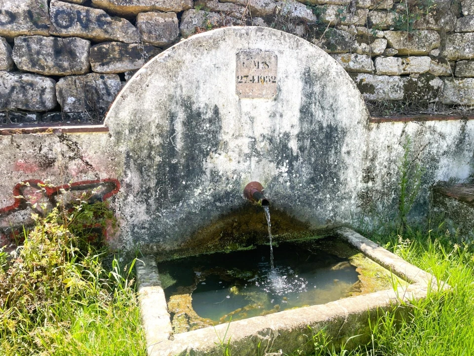 Terreno para Venda em Santa Maria e São Miguel, São Martinho, São Pedro Penaferrim Foto 25
