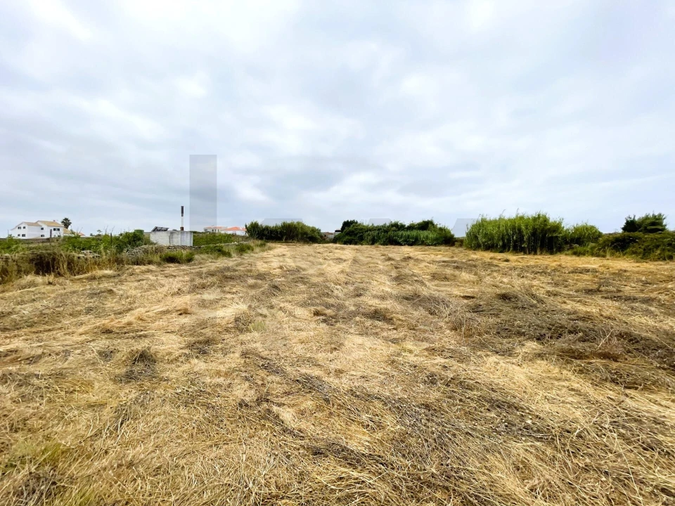 Terreno para Venda em Santa Maria e São Miguel, São Martinho, São Pedro Penaferrim Foto 14