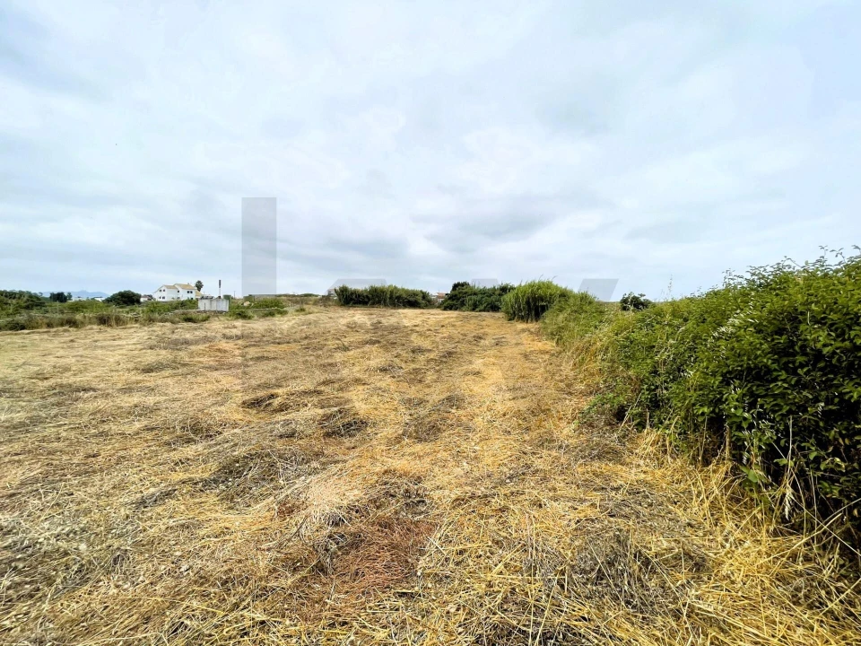 Terreno para Venda em Santa Maria e São Miguel, São Martinho, São Pedro Penaferrim Foto 18