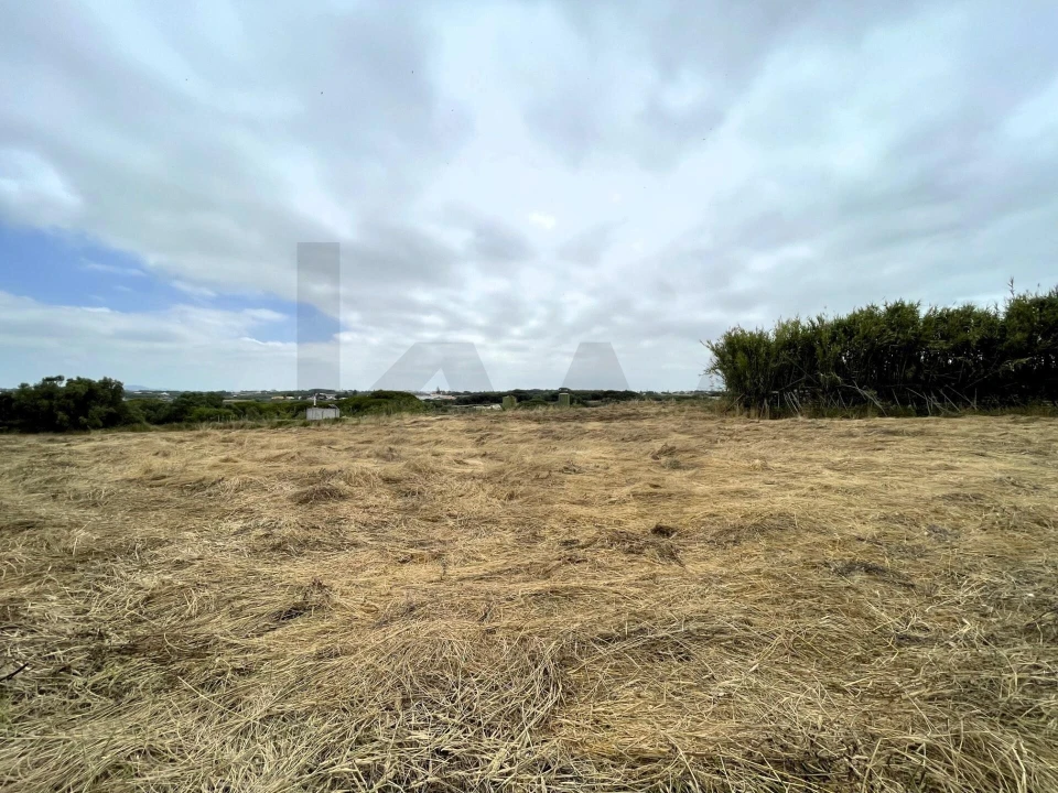 Terreno para Venda em Santa Maria e São Miguel, São Martinho, São Pedro Penaferrim Foto 20