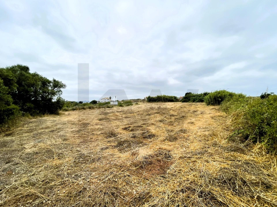 Terreno para Venda em Santa Maria e São Miguel, São Martinho, São Pedro Penaferrim Foto 16