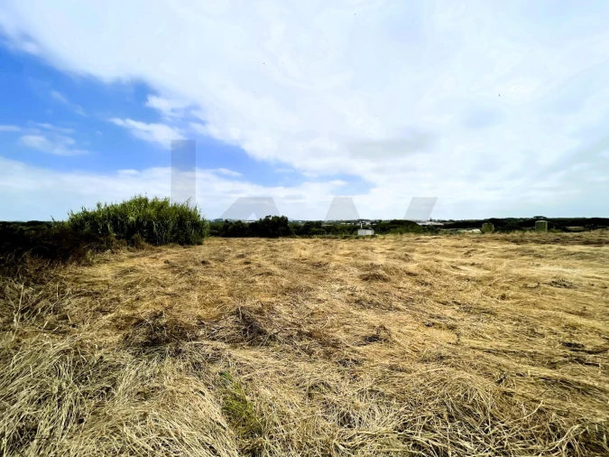 Terreno para Venda em Santa Maria e São Miguel, São Martinho, São Pedro Penaferrim Foto 19