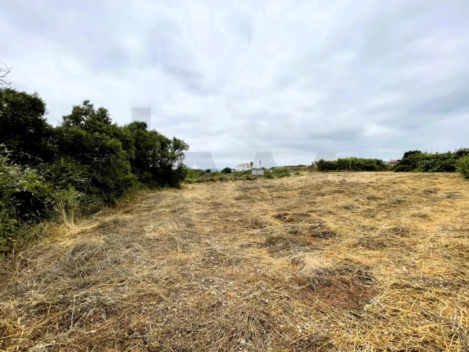 Terreno para Venda em Santa Maria e São Miguel, São Martinho, São Pedro Penaferrim Foto 17