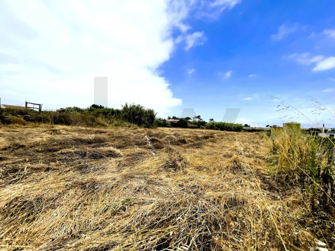Terreno para Venda em Santa Maria e São Miguel, São Martinho, São Pedro Penaferrim Foto 4