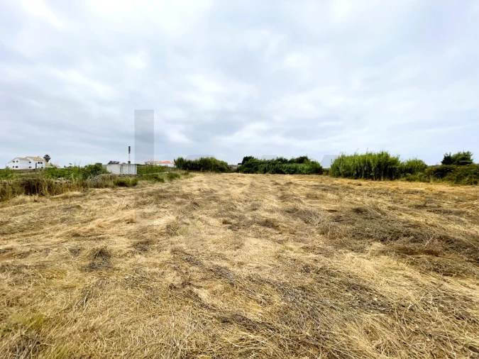 Terreno para Venda em Santa Maria e São Miguel, São Martinho, São Pedro Penaferrim Foto 14