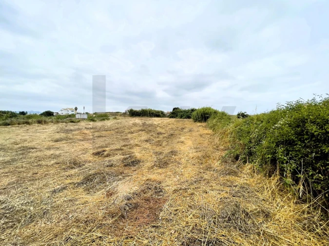 Terreno para Venda em Santa Maria e São Miguel, São Martinho, São Pedro Penaferrim Foto 18