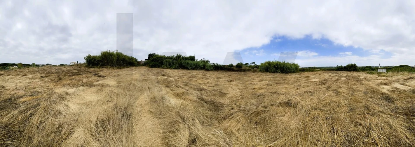 Terreno para Venda em Santa Maria e São Miguel, São Martinho, São Pedro Penaferrim Foto 22