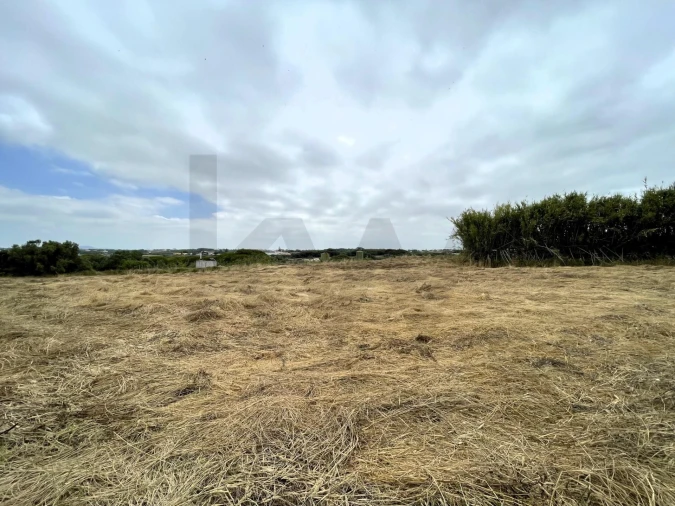 Terreno para Venda em Santa Maria e São Miguel, São Martinho, São Pedro Penaferrim Foto 20