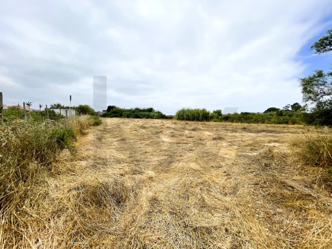 Terreno para Venda em Santa Maria e São Miguel, São Martinho, São Pedro Penaferrim Foto 13