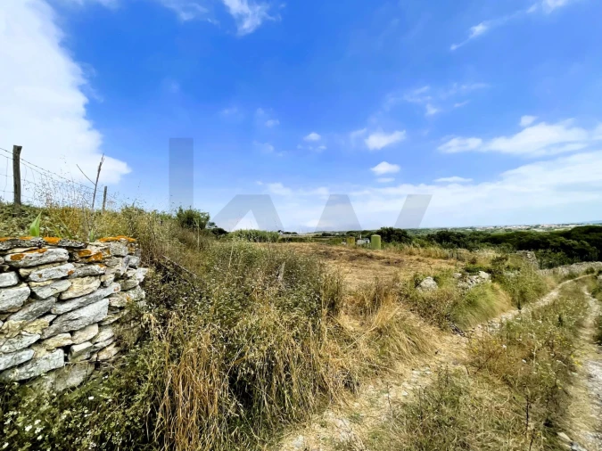 Terreno para Venda em Santa Maria e São Miguel, São Martinho, São Pedro Penaferrim