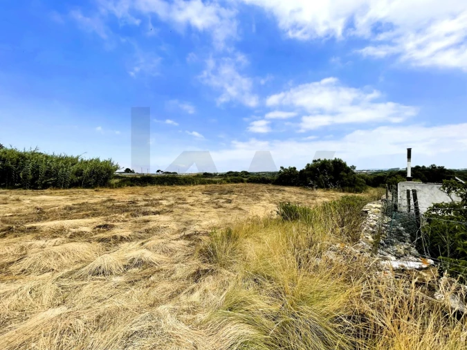Terreno para Venda em Santa Maria e São Miguel, São Martinho, São Pedro Penaferrim Foto 8