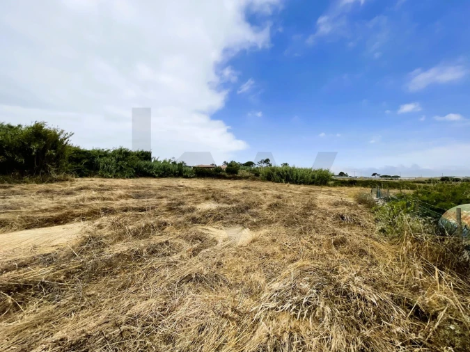 Terreno para Venda em Santa Maria e São Miguel, São Martinho, São Pedro Penaferrim Foto 7