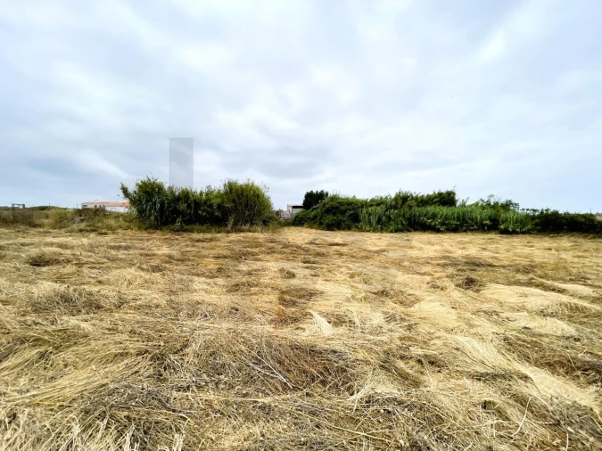 Terreno para Venda em Santa Maria e São Miguel, São Martinho, São Pedro Penaferrim Foto 10