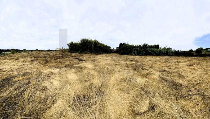 Terreno para Venda em Santa Maria e São Miguel, São Martinho, São Pedro Penaferrim Foto 23