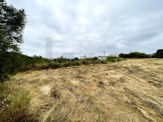 Terreno para Venda em Santa Maria e São Miguel, São Martinho, São Pedro Penaferrim Foto 15