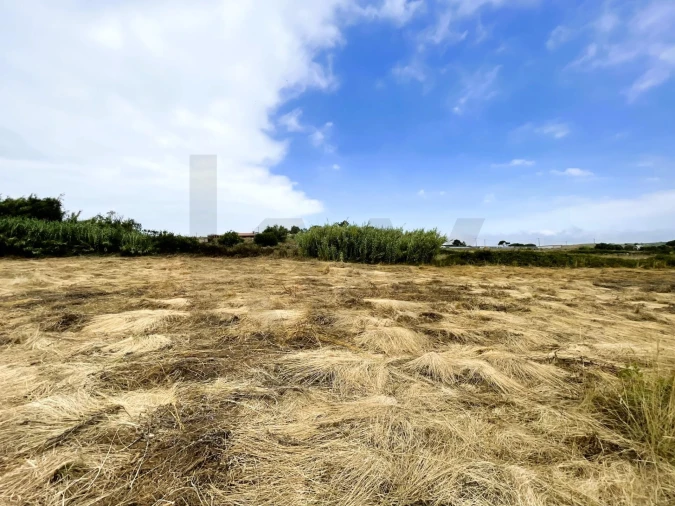 Terreno para Venda em Santa Maria e São Miguel, São Martinho, São Pedro Penaferrim Foto 9