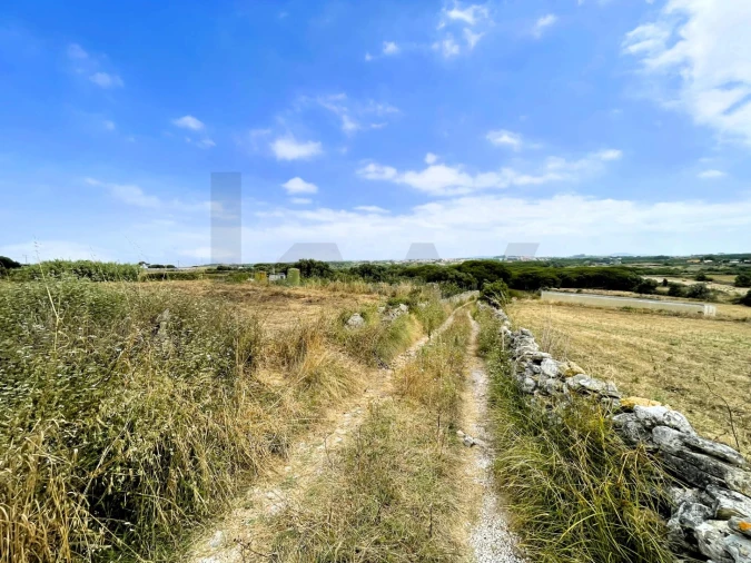 Terreno para Venda em Santa Maria e São Miguel, São Martinho, São Pedro Penaferrim Foto 2