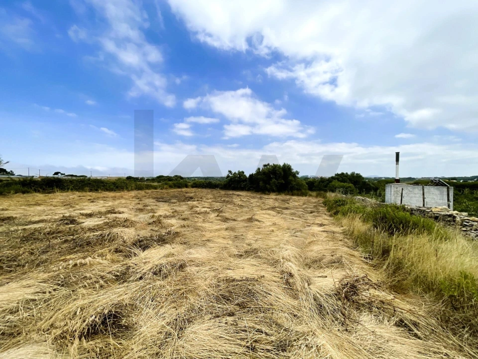 Terreno para Venda em Santa Maria e São Miguel, São Martinho, São Pedro Penaferrim Foto 11