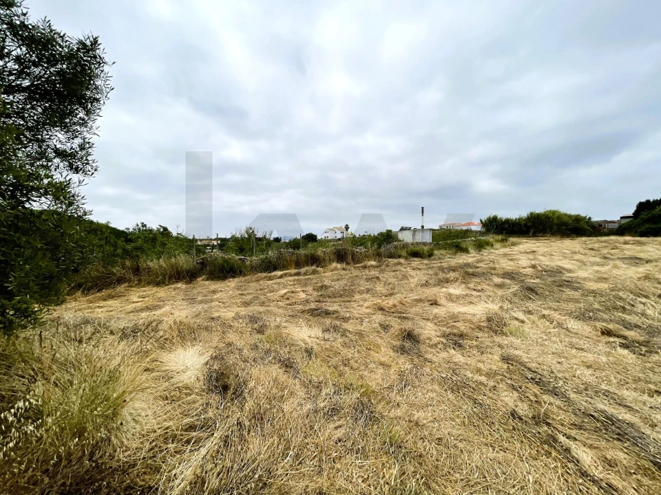 Terreno para Venda em Santa Maria e São Miguel, São Martinho, São Pedro Penaferrim Foto 15