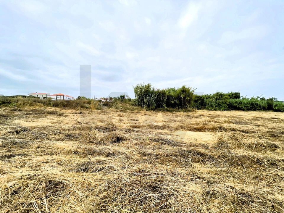 Terreno para Venda em Santa Maria e São Miguel, São Martinho, São Pedro Penaferrim Foto 6