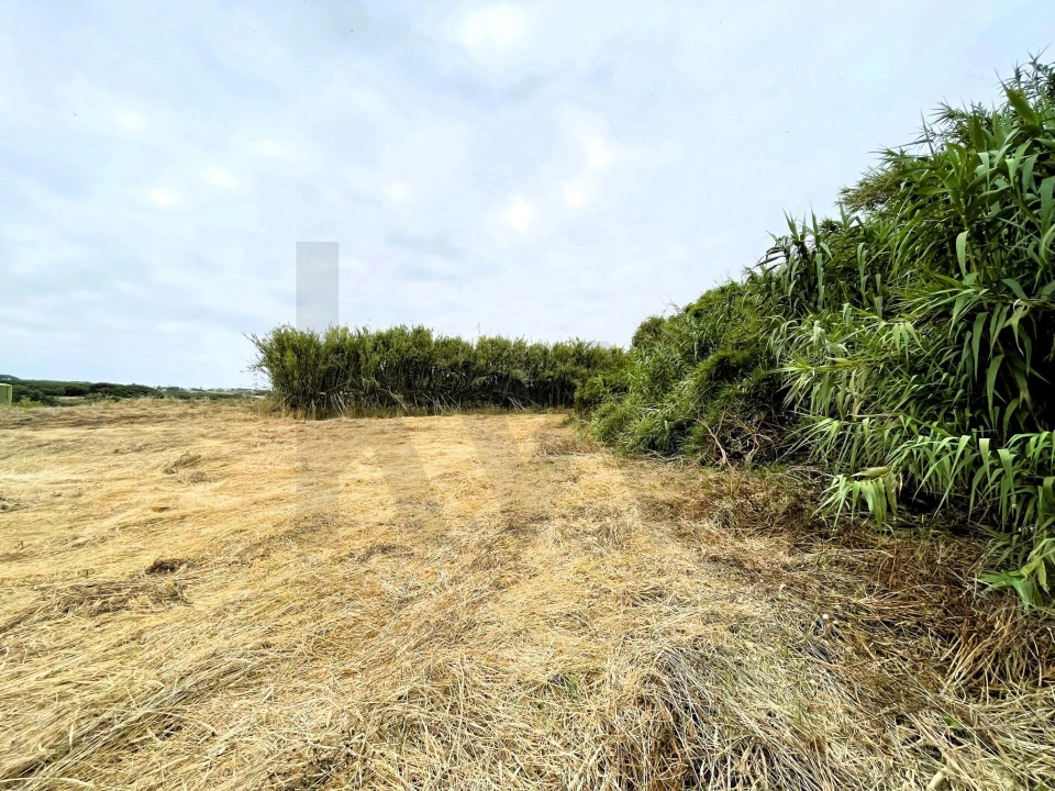 Terreno para Venda em Santa Maria e São Miguel, São Martinho, São Pedro Penaferrim Foto 21