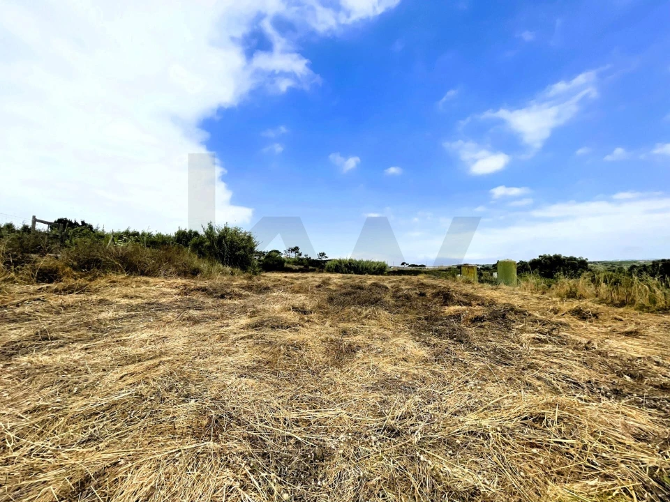 Terreno para Venda em Santa Maria e São Miguel, São Martinho, São Pedro Penaferrim Foto 3