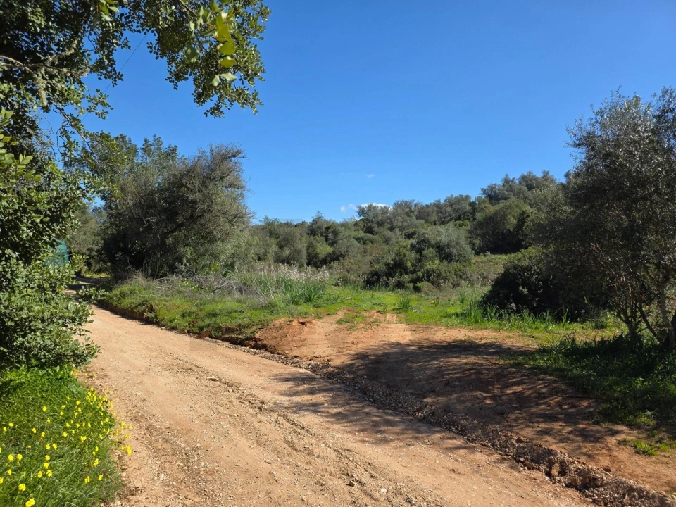 Terreno para Venda em Alcantarilha e Pêra Foto 1