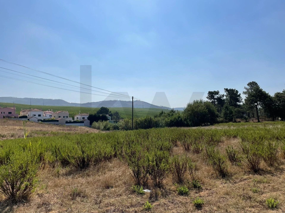Terreno para Venda em Santa Maria, São Pedro e Matacães Foto 15